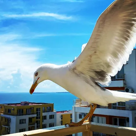 Διαμέρισμα Sea View Panoramic Apartments, Noks Crown Club *